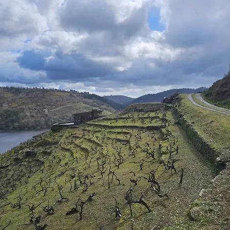 Vina Candaz By Oktheway