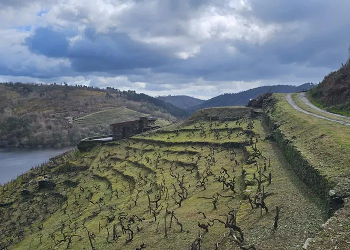 Vina Candaz By Oktheway